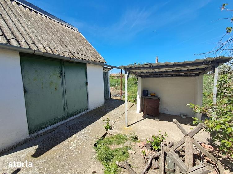 Valcani, proprietate cu casa taraneasca - 7