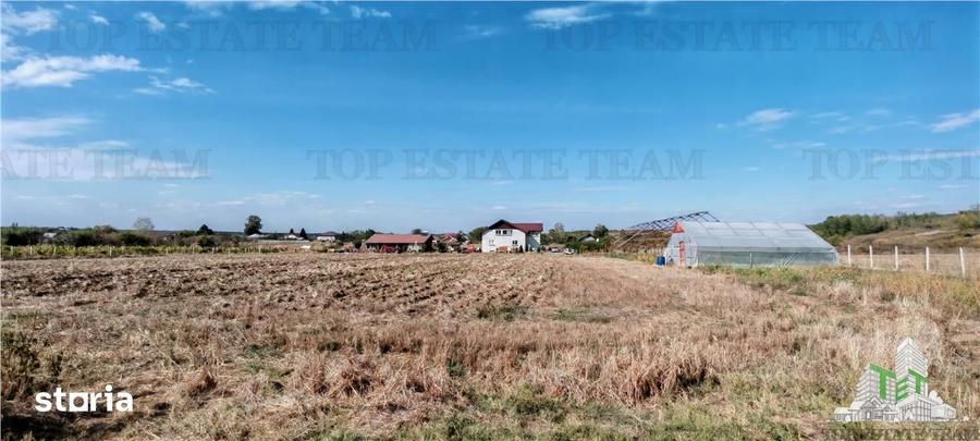 Casă cu 7 camere cu Teren 33000 Mp în Militari