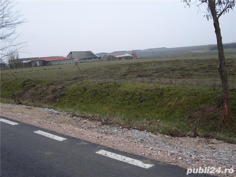 Teren de 10000 mp, în Homorog