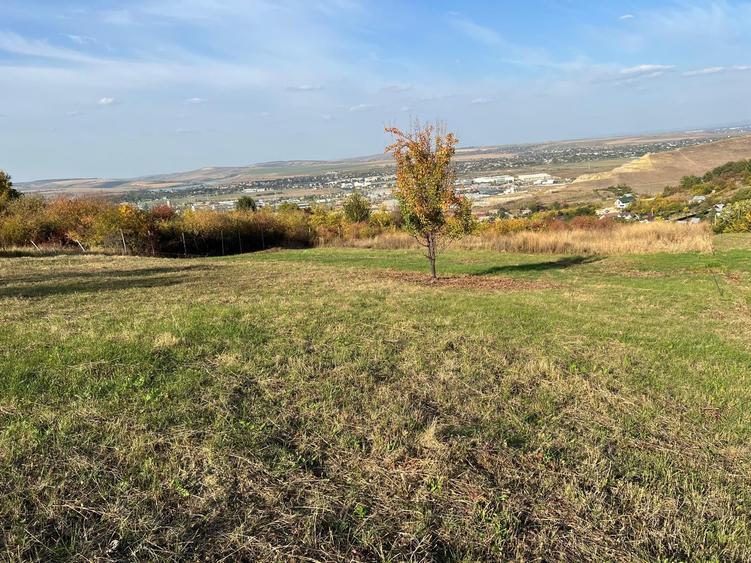 Teren de 1240 mp, în Vlădiceni