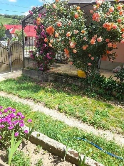 Casă cu 5 camere cu Teren 1400 Mp în Fundătura