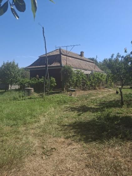 Casă individuală cu 2 camere cu Teren 3500 Mp în Bârza