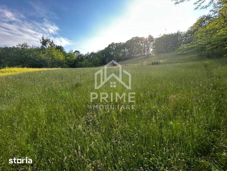 Teren de 12259 mp, în Central