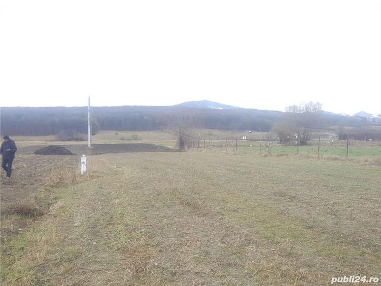 Teren de 2700 mp, în Rășinari