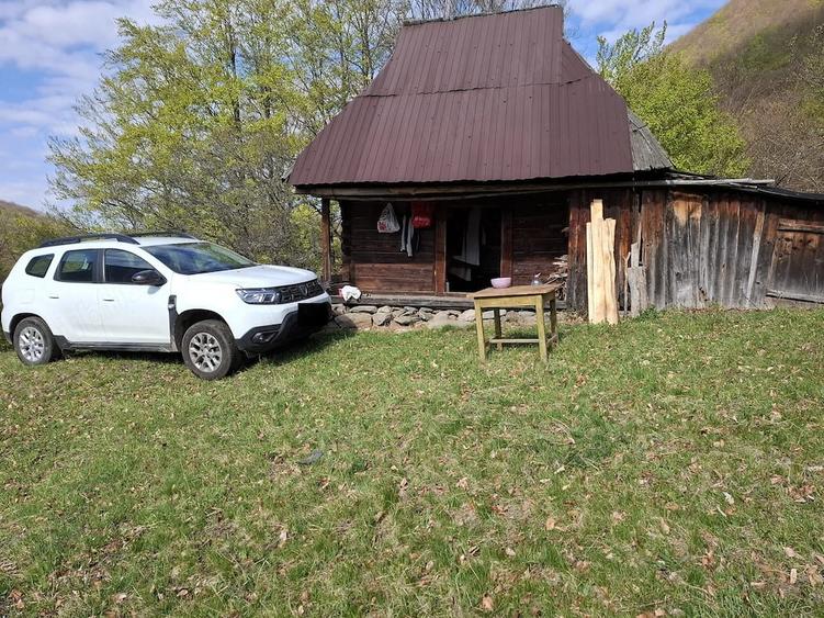 Teren Montan 6.572 mp Jie? (Petrila , Jude?ul Hunedoara) - 8