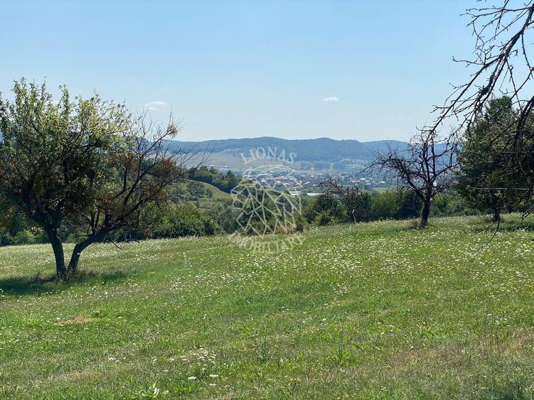 Teren agricol extravilan de 11000 mp, în Unirea