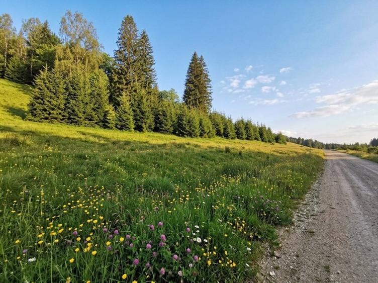 Teren Construcții intravilan de 2763 mp, în Poiana Brașov