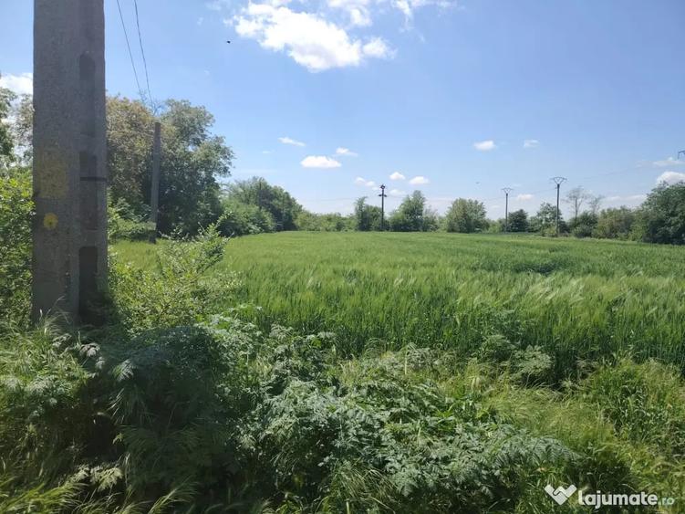 Teren de 1656 mp, în Gârbovi