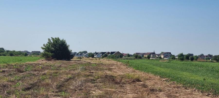Teren Construcții intravilan de 2000 mp, în Ciorogârla