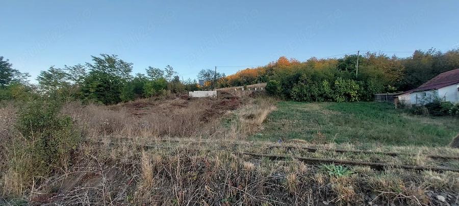 Teren de 12000 mp, în Crăiești