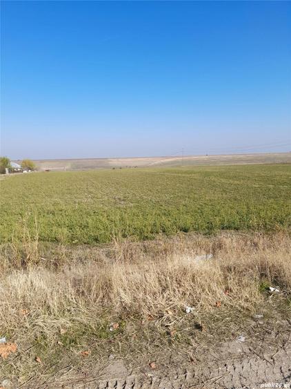 Teren de 15000 mp, în Sud