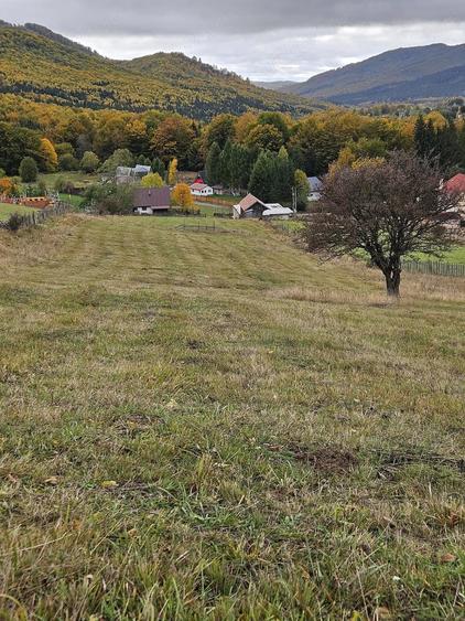 Teren de 3100 mp, în Trăisteni