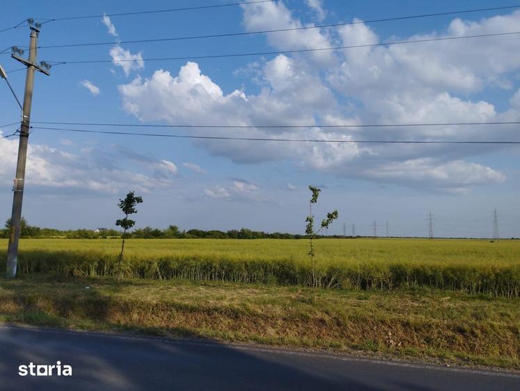 Teren de 5000 mp, în Moara Vlăsiei