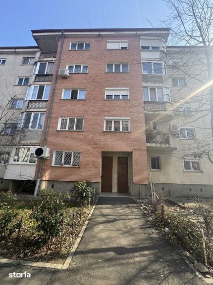 Apartament 3 camere decomnadat Alfa - 3