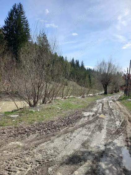 Teren de 22250 mp, în Voroneț