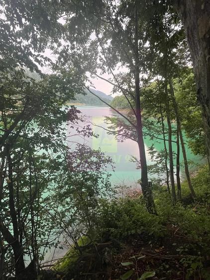 Teren cu deschidere la lac Valea Doftanei, Prahova - 4