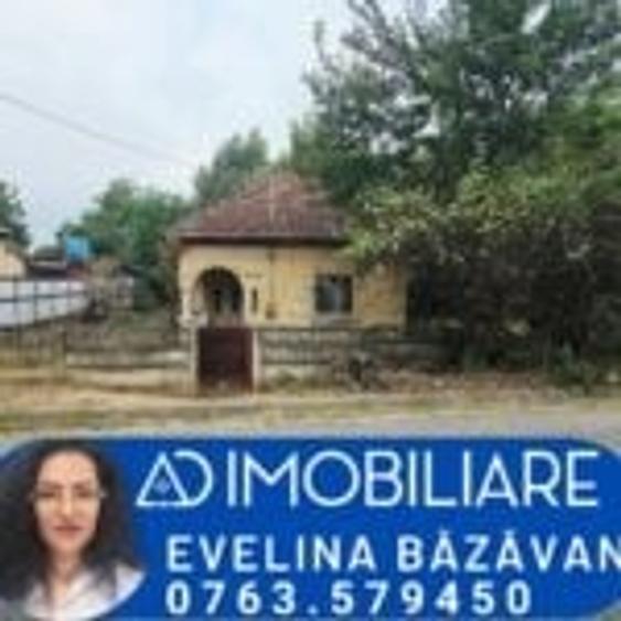 Casă individuală cu 3 camere cu Teren 5700 Mp în Curtișoara