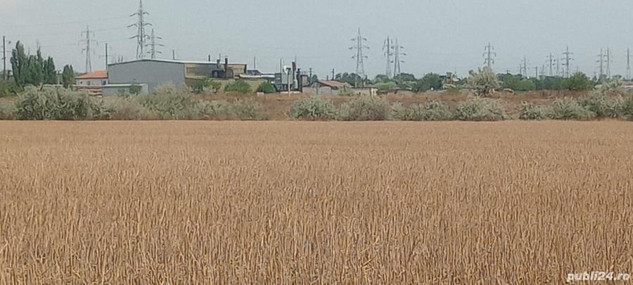 Teren de 8400 mp, în Sud