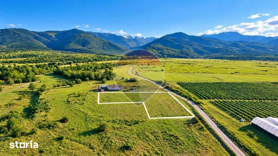 Teren de 4500 mp, în Recea