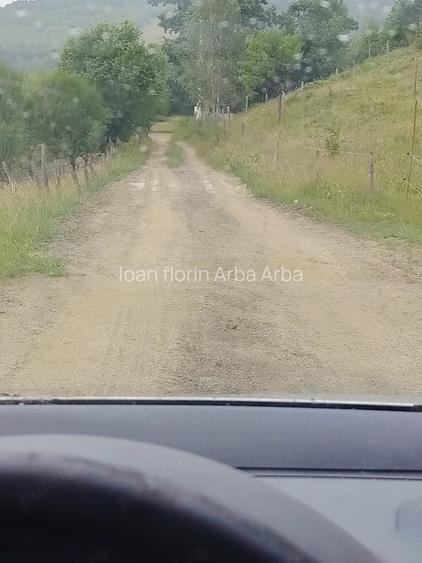 Teren 8,5 ha, Valea Neagra, Petrova, Maramures