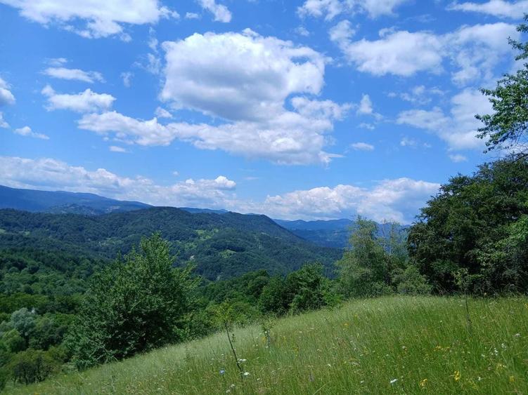 Casă cu 3 camere în Vâlcani