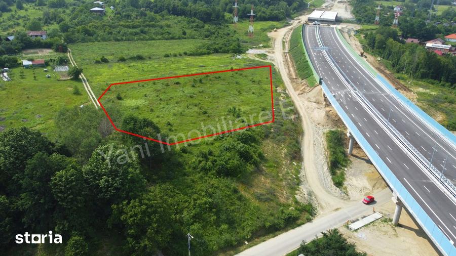 Teren de 6490 mp, în Curtea de Argeș