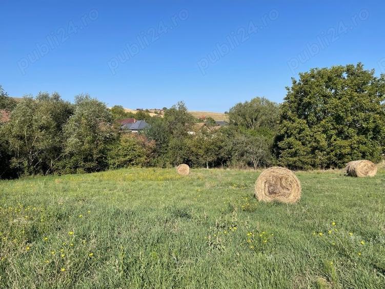 Teren în Dezmir