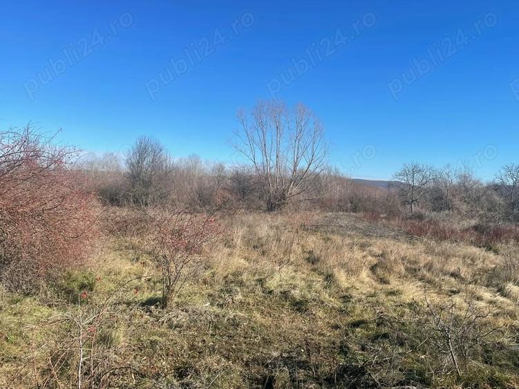 Teren de 5300 mp, în Merișani
