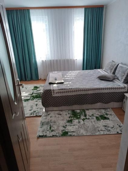 Casa individuala, teren 5200mp, oportunitate de investitie, Brodina - 9