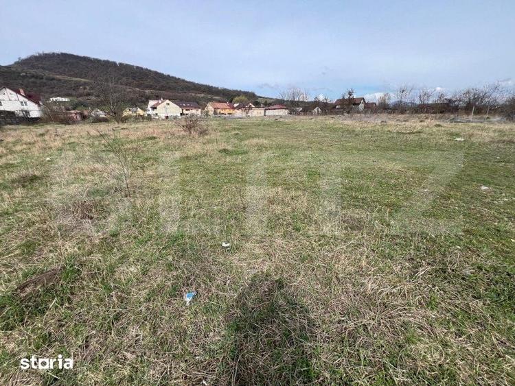 Teren de 4400 mp, în Viișoara