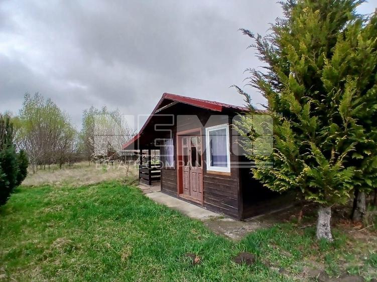 Teren agricol extravilan de 4100 mp, în Burdujeni