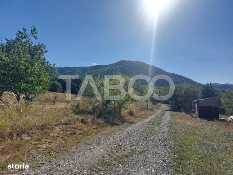Teren intravilan 600 mp front stradal 16 m zona Muncel Cisnadie - 3
