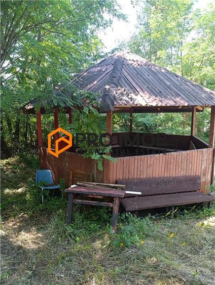 Casă individuală cu 8 camere cu Teren 2100 Mp în Lunca Frumoasă