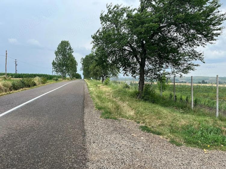 Teren de 1000 mp, în Ilișești