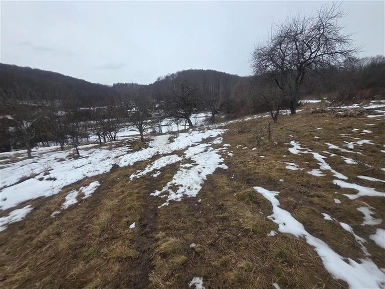 Teren Construcții intravilan de 1812 mp, în Est