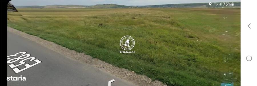 Teren de 29300 mp, în Dumești