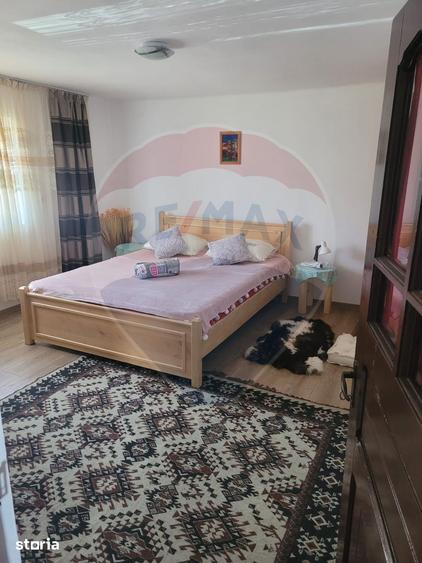 Casă cu 4 camere cu Teren 16499 Mp în Baia de Fier
