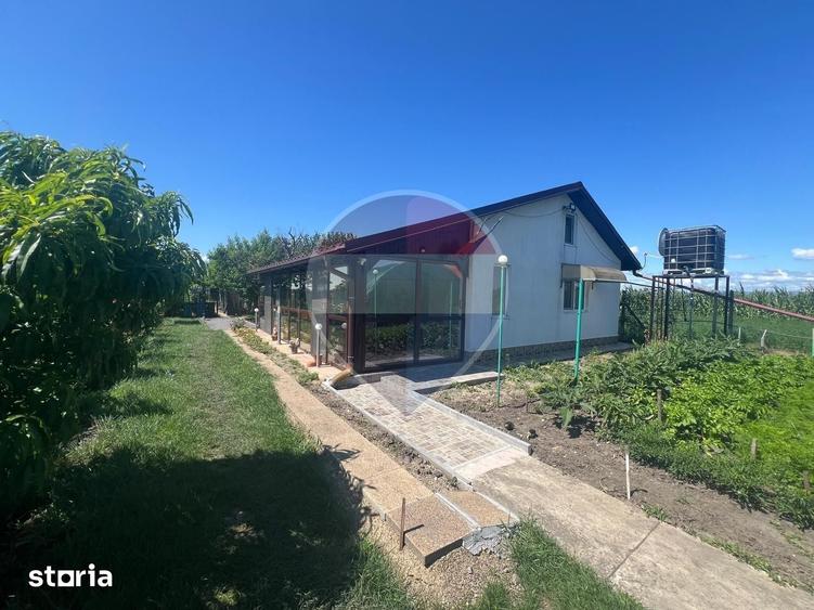 Casă cu 2 camere cu Teren 6943 Mp în Gologanu
