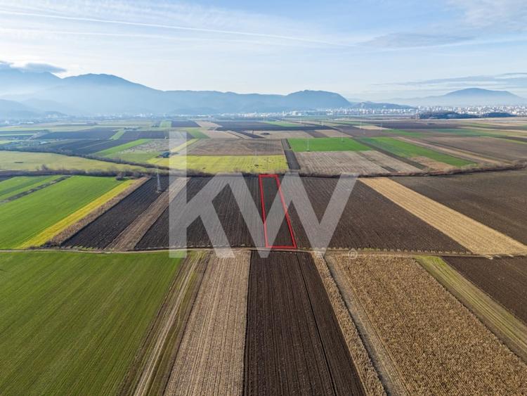 Teren agricol extravilan de 3500 mp, în Cernatu
