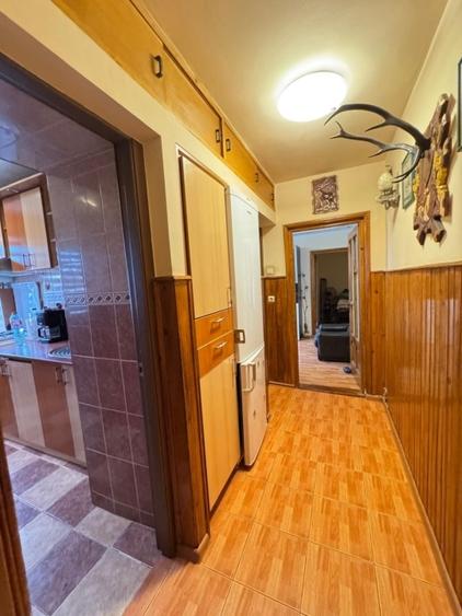 Apartament cu 3 camere semidecomandat în Alexandru cel Bun