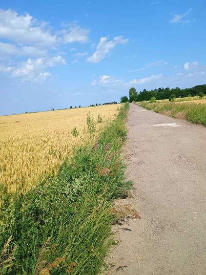 Teren de 5000 mp, în Valea Ursului
