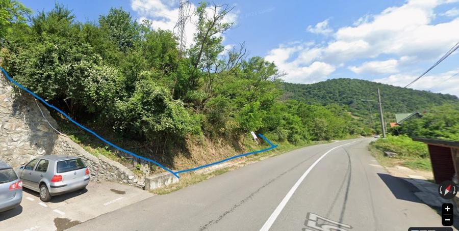 Teren Construcții intravilan de 11972 mp, în Dubova