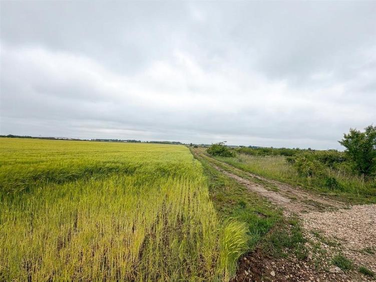 Teren intravilan de 6400 mp, în Episcopia Bihorului