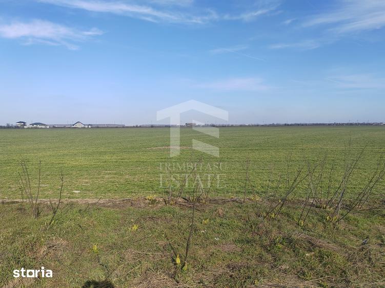 Teren de 8650 mp, în Cernica