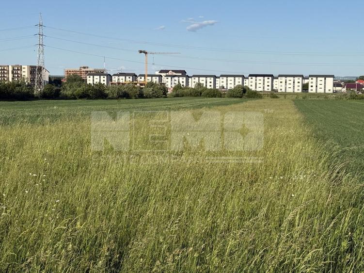 Teren Construcții extravilan de 2650 mp, în Horodnic de Sus