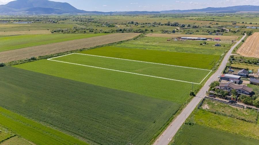 Teren Construcții intravilan de 9300 mp, în Stupini