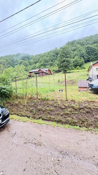 Teren Construcții intravilan de 6200 mp, în Tăuții-Măgherăuș
