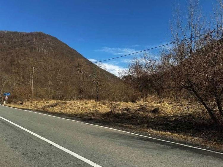 Teren de 1700 mp, în Brăzești