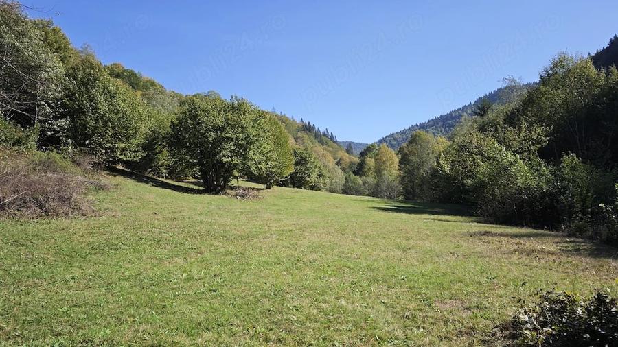 Teren de 4492 mp, în Tarcău