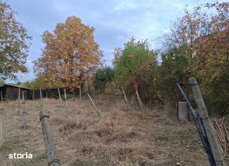 Teren de 1000 mp, în Bucium